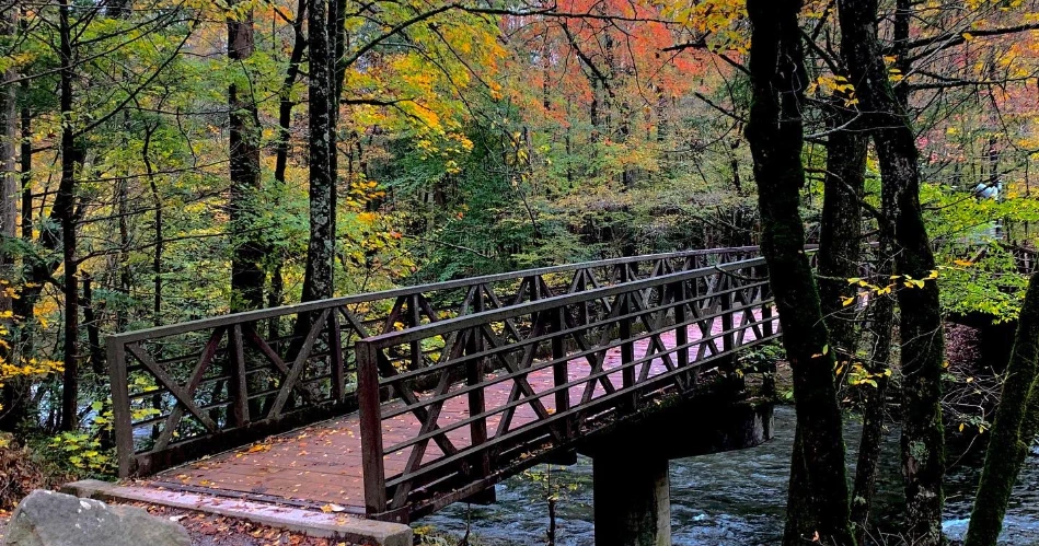 Gatlinburg for Couples: 10 Romantic Spots in the Smoky Mountains