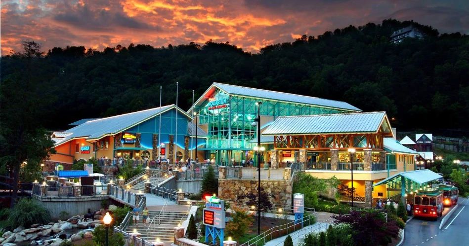 Gatlinburg for Couples: 10 Romantic Spots in the Smoky Mountains