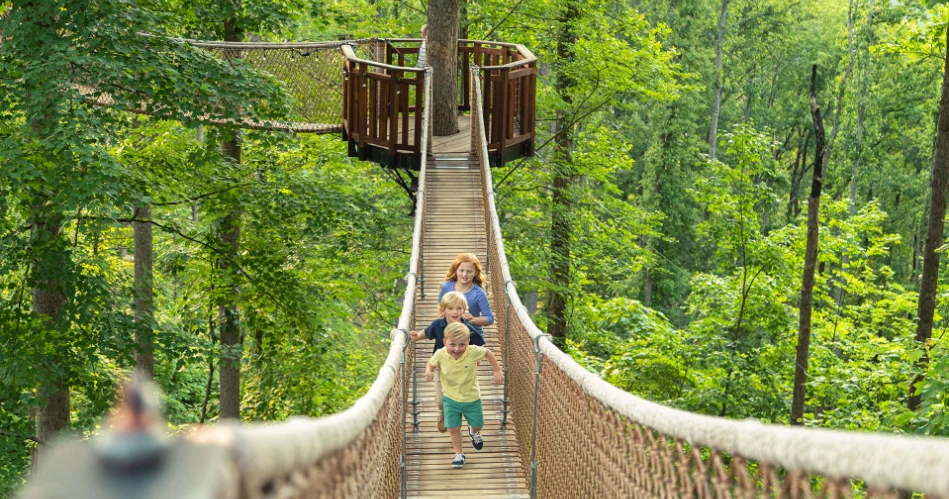 Gatlinburg for Couples: 10 Romantic Spots in the Smoky Mountains