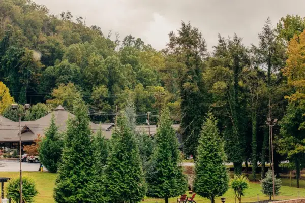 Brookside Lodge Main image