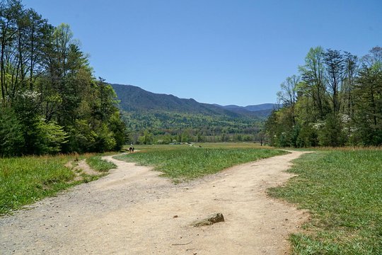 Tour image 6