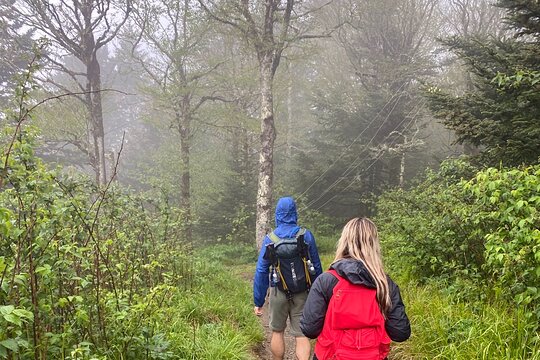 Tour image 3