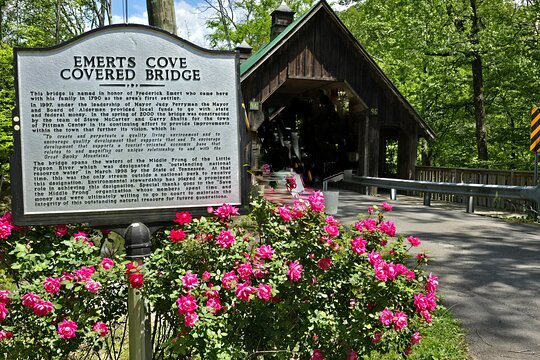 Tour image 4